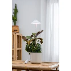 Airam Iris IP20 5W 240lm Valkoinen Kasvivalo 7 Airam Iris IP20 5W 240lm Valkoinen Kasvivalo -Kotitaloustavarat Kauppa 6435200292629 2