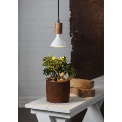 Star E27 PAR38 1700lm Led Kasvilamppu -Kotitaloustavarat Kauppa 7391482039729 3